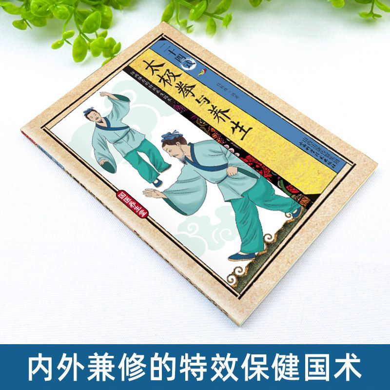24 Style Tai Chi i ćwiczenia z – Health & Wellness Quotes Inspirational recenzja i cena