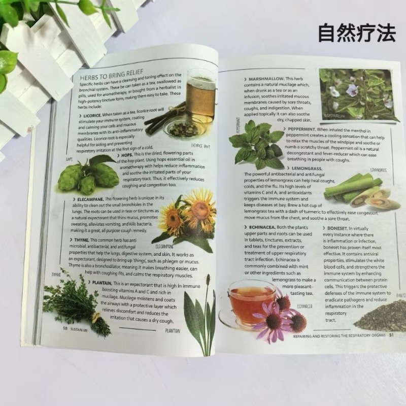 Sustain Me English Paperback A – Health Wellness Foundation recenzja i cena